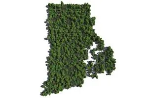 EnergyWise Program RI - National Grid