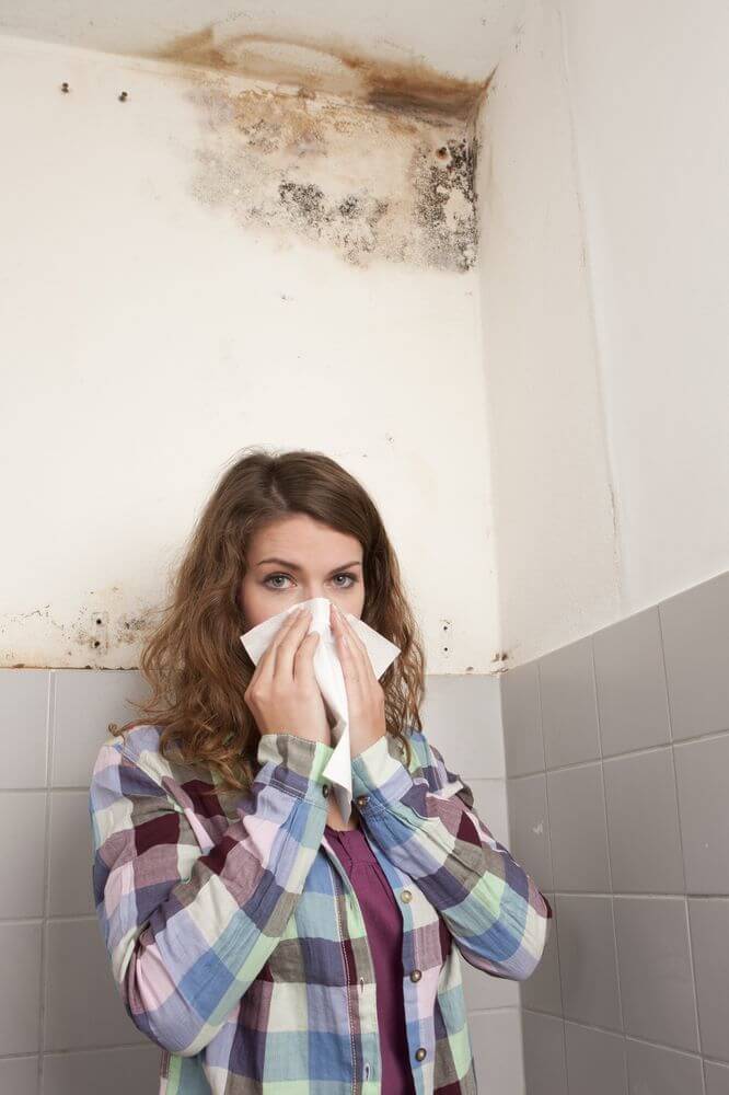 Indoor Mold Remediation Service in RI, CT and MA